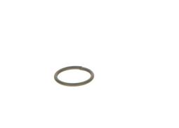 Seal Ring BOSCH F 00V C23 002