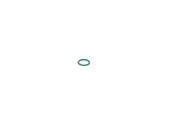 Rubber Ring BOSCH 1 928 300 719