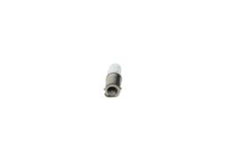 Bulb BOSCH 1 987 302 233