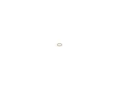 Seal Ring BOSCH 1 410 227 001