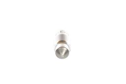 Bulb BOSCH 1 987 302 227