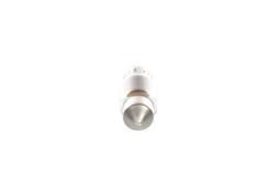 Bulb BOSCH 1987302227