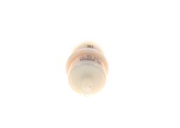 Fuel Filter BOSCH F 026 403 169