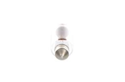 Bulb BOSCH 1 987 302 238