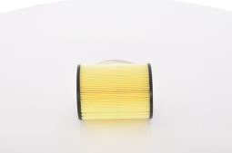 Oil Filter BOSCH F 026 407 046