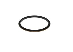 Seal Ring, injector BOSCH F 00N 202 513