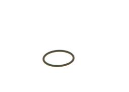 Seal Ring BOSCH F 00V C38 002