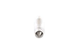 Bulb, boot light BOSCH 1 987 302 225