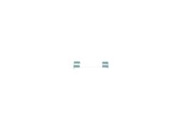 Accessory Kit, brake shoes BOSCH 1987475201