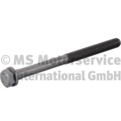 Cylinder Head Bolt BF Original 20080910508