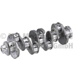 Crankshaft BF Original 20051404810
