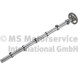 Camshaft BF Original 20100393600