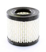 Air Filter Fleetguard AF250