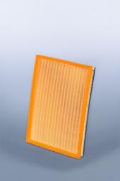 Air Filter Fleetguard AF27833