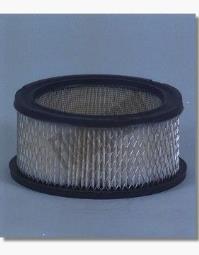 Air Filter Fleetguard AF290