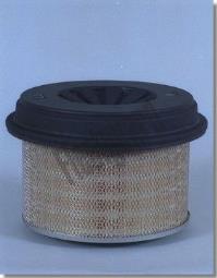 Air Filter Fleetguard AF977