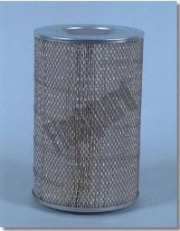 Air Filter Fleetguard AF979