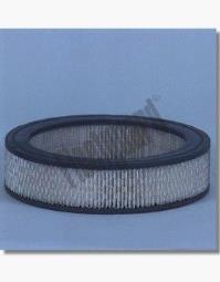 Air Filter Fleetguard AF1697