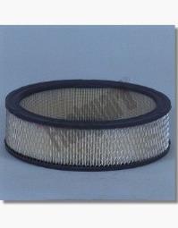 Air Filter Fleetguard AF1780