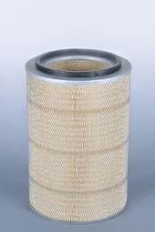 Air Filter Fleetguard AF25022