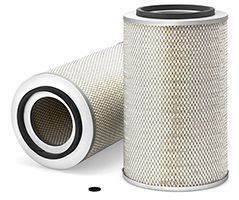 Air Filter Fleetguard AF25043M