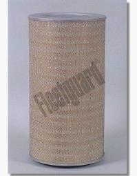 Air Filter Fleetguard AF25062