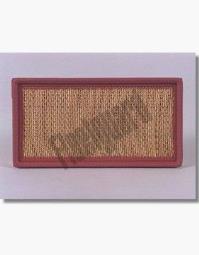 Air Filter Fleetguard AF25256