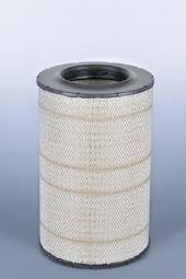 Air Filter Fleetguard AF25264