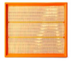 Air Filter Fleetguard AF25306