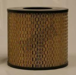 Air Filter Fleetguard AF25399