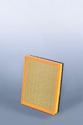 Air Filter Fleetguard AF25797