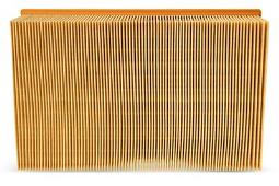 Air Filter Fleetguard AF25841