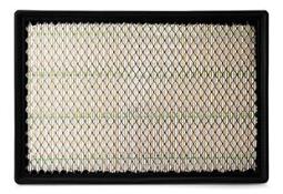 Air Filter Fleetguard AF26298