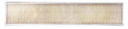 Air Filter Fleetguard AF55810