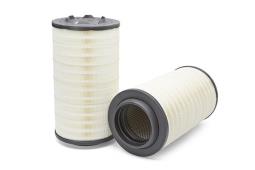 Air Filter Fleetguard AF25894