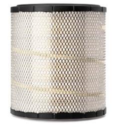 Air Filter Fleetguard AF25199