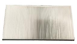 Air Filter Fleetguard AF25733