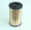 Air Filter Fleetguard AF25296