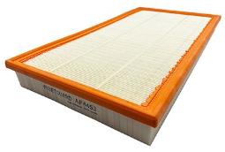 Air Filter Fleetguard AF4453