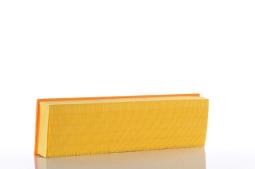Air Filter PZL Filters WA501125