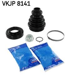 SKF SKF VKJP8141