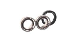 SKF SKF VKBA1333