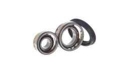 SKF SKF VKBA530