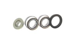 SKF SKF VKBA3666