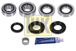 Repair Kit, differential LUK 462021610