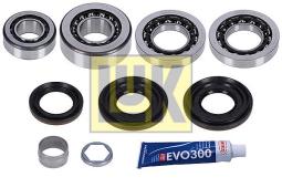 Repair Kit, differential LUK 462033010