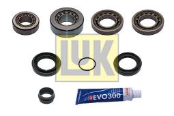 Repair Kit, differential LUK 462039810
