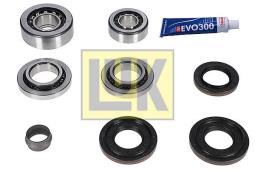 Repair Kit, differential LUK 462021510