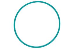 Seal VDO A2C59516956
